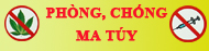 Phòng chống ma túy